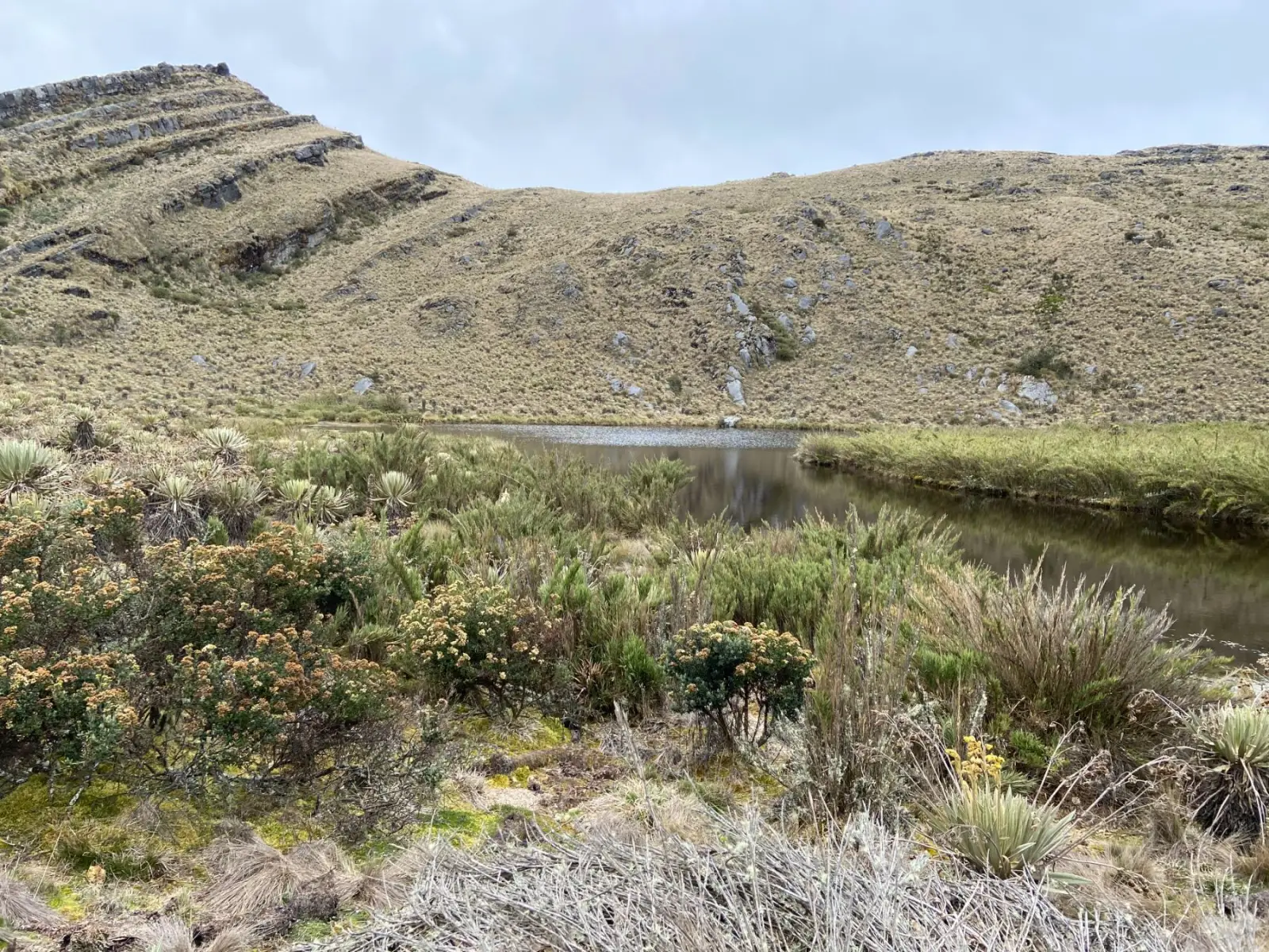 Laguna al pie de un cerro de la Reserva